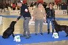  - Superbes résultats à l'exposition nationale canine du Mans