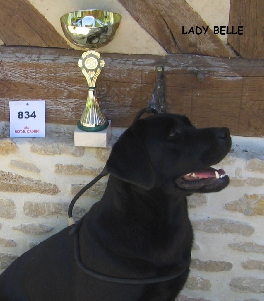 Lady belle du comté des moz