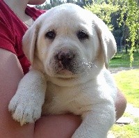 PEPPER