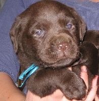 MARLEY