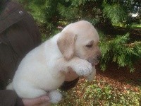 NALA